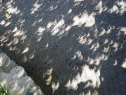 �؂������ʂ��Č������H�̎ʐ^