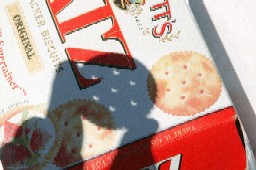 �r�X�P�b�g�ɂ��s���z�[�����g�������H�̎ʐ^