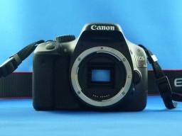 �J�����{�f�B�̎ʐ^