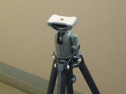 �ˑ䕔���̊g��ʐ^