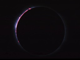 �G�W�v�g�F�����H�ŎB�e���ꂽ�ʑw�̎ʐ^