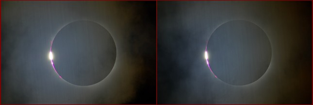 �������V��̃V���h�[�o���h�̎ʐ^