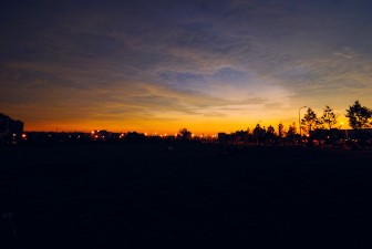 ���H�Ă��̎ʐ^