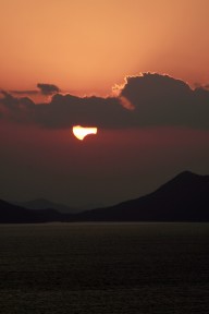 2010�N�Ɍ���ꂽ���v�ѐH�̎ʐ^