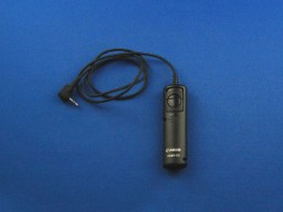 �L���������R���̎ʐ^