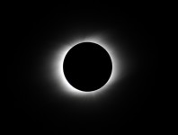 �����炢�̘I�o�ɂ��R���i�̎ʐ^