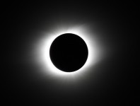 �����I�o�ɂ��R���i�̎ʐ^