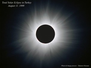 �ɑ���R���i�̎ʐ^