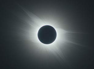 �ɏ������璆�Ԍ^�R���i�̎ʐ^