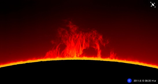 ����ȃt�B���^�[��p���ĎB�e�����v���~�l���X